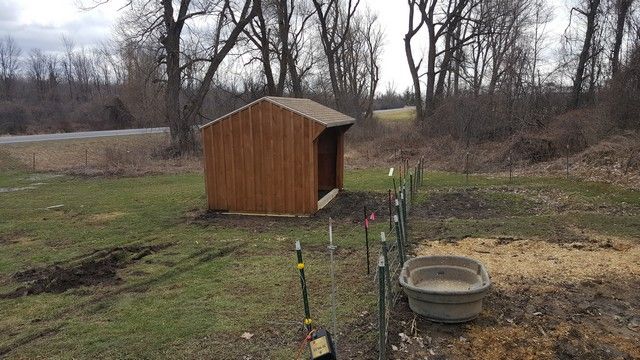 Run IN Shed Ottawa ontario